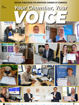 Your Chamber Vour Voice May 2021 Thumb