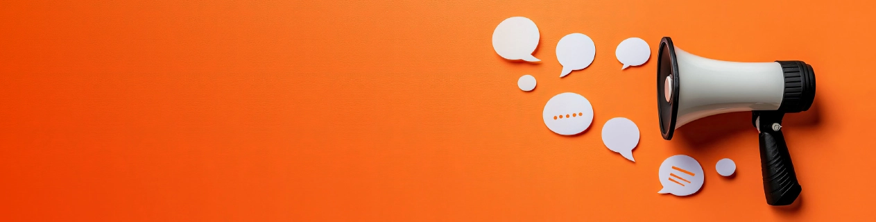 Have Your Say & Council/MP's Responses