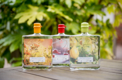 New tasting event to showcase Weston Park gins
